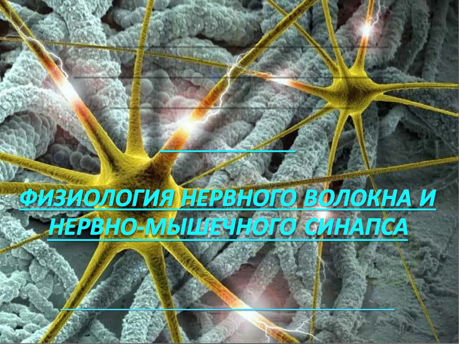 Проводимость как специфическое свойство возбудимых тканей