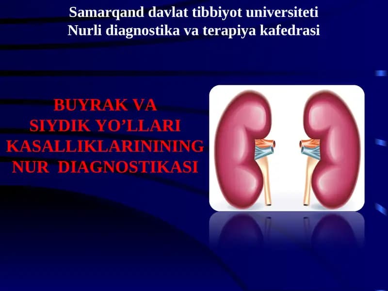 siydiq yo'llari kasalliklarining nur diagnostikasi