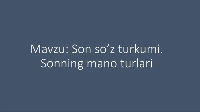 Son so’z turkumi. Sonning mano turlari