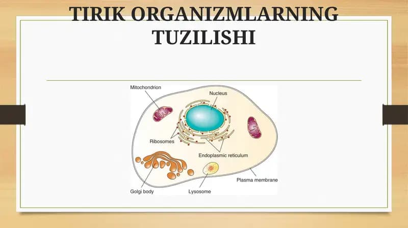 TIRIK ORGANIZMLARNING TUZILISHI