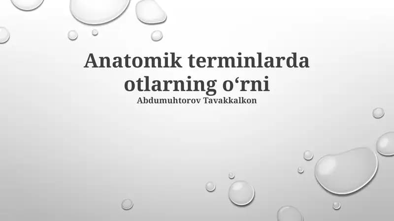 Anatomik terminlarda otlarning oʻrni