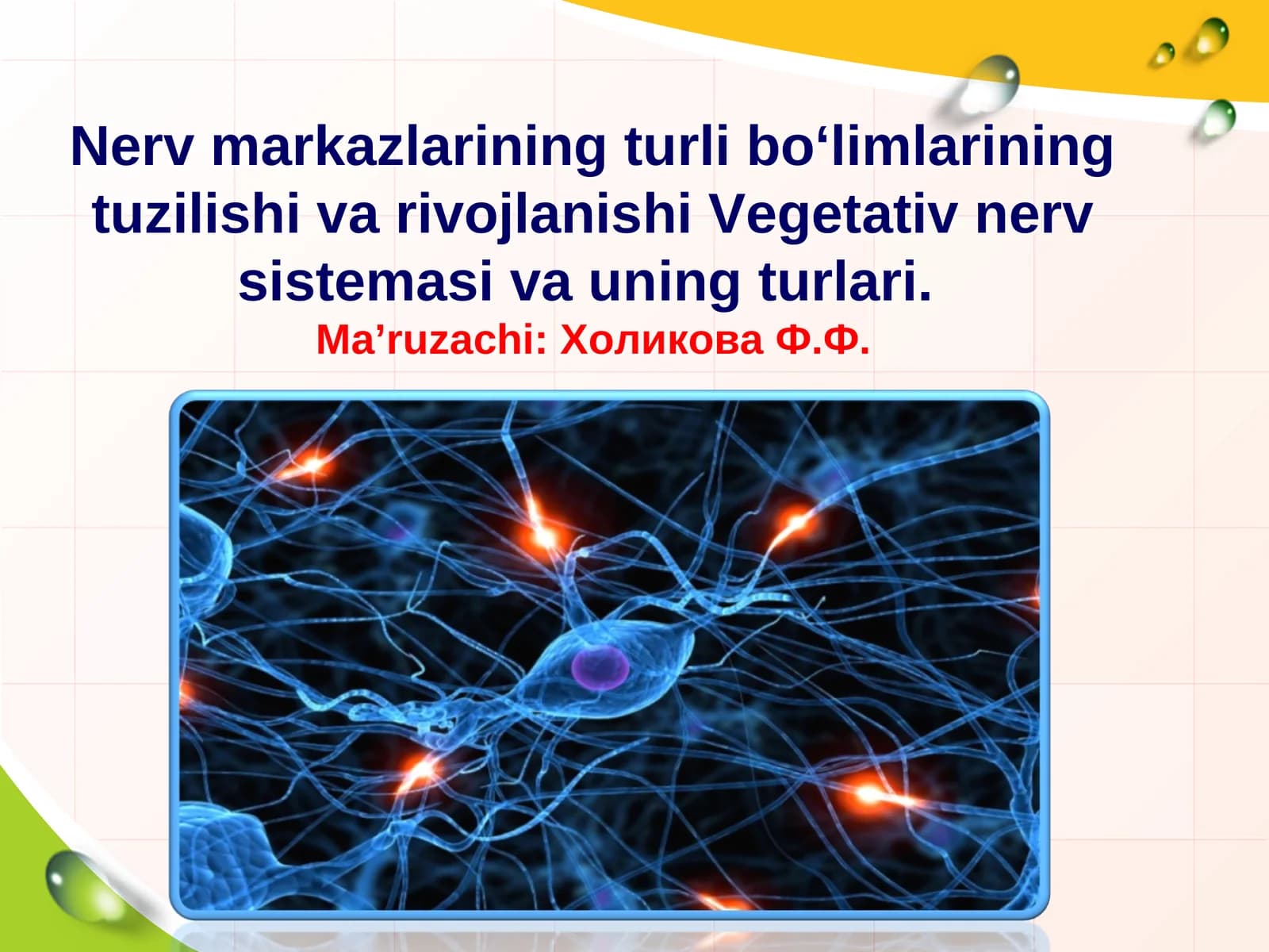 Nerv markazlarining turli bo‘limlarining tuzilishi va rivojlanishi Vegetativ nerv sistemasi va uning turlari