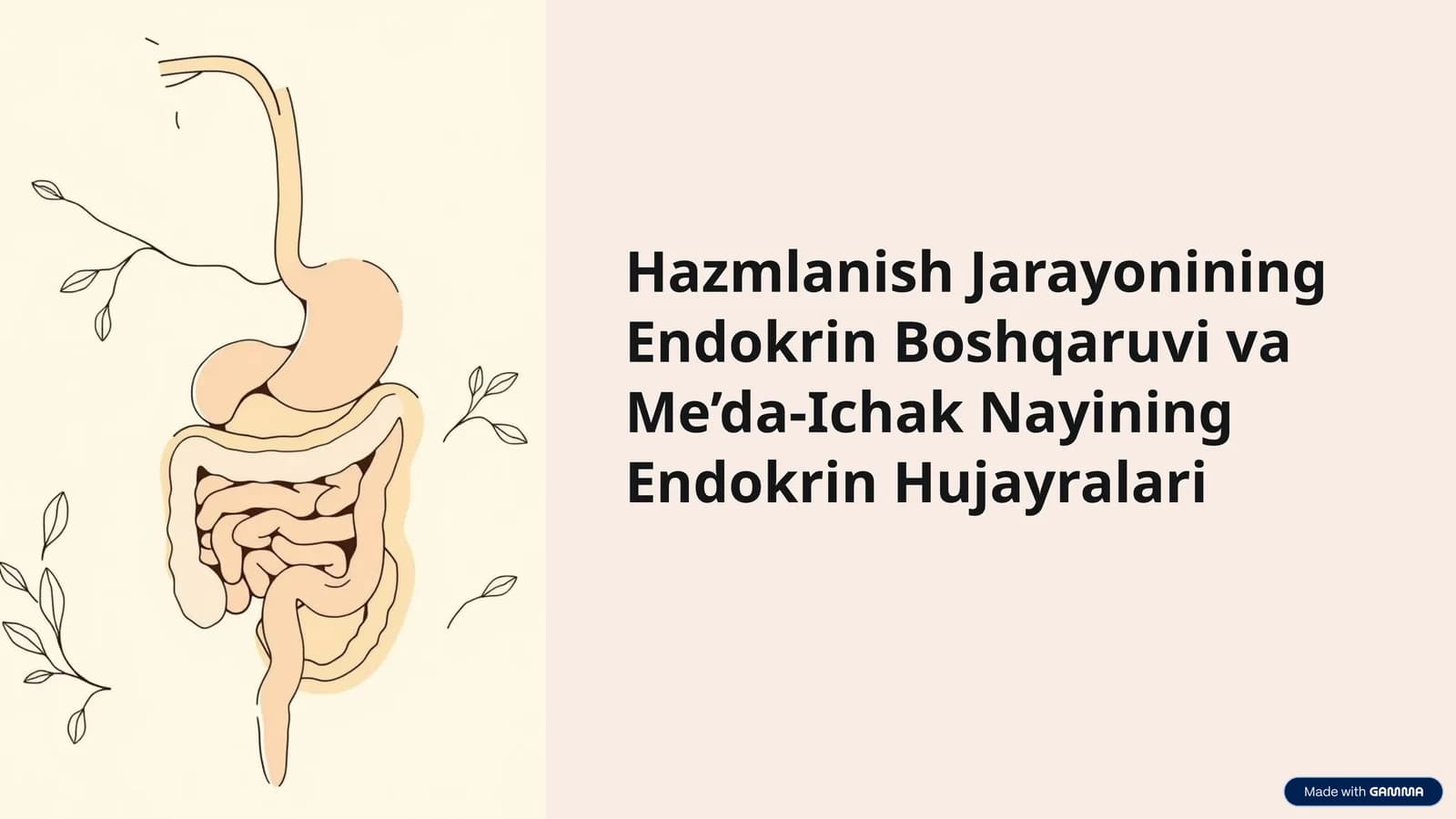 Hazmlanish Jarayonining Endokrin Boshqaruvi va Me’da-Ichak Nayining Endokrin Hujayralari