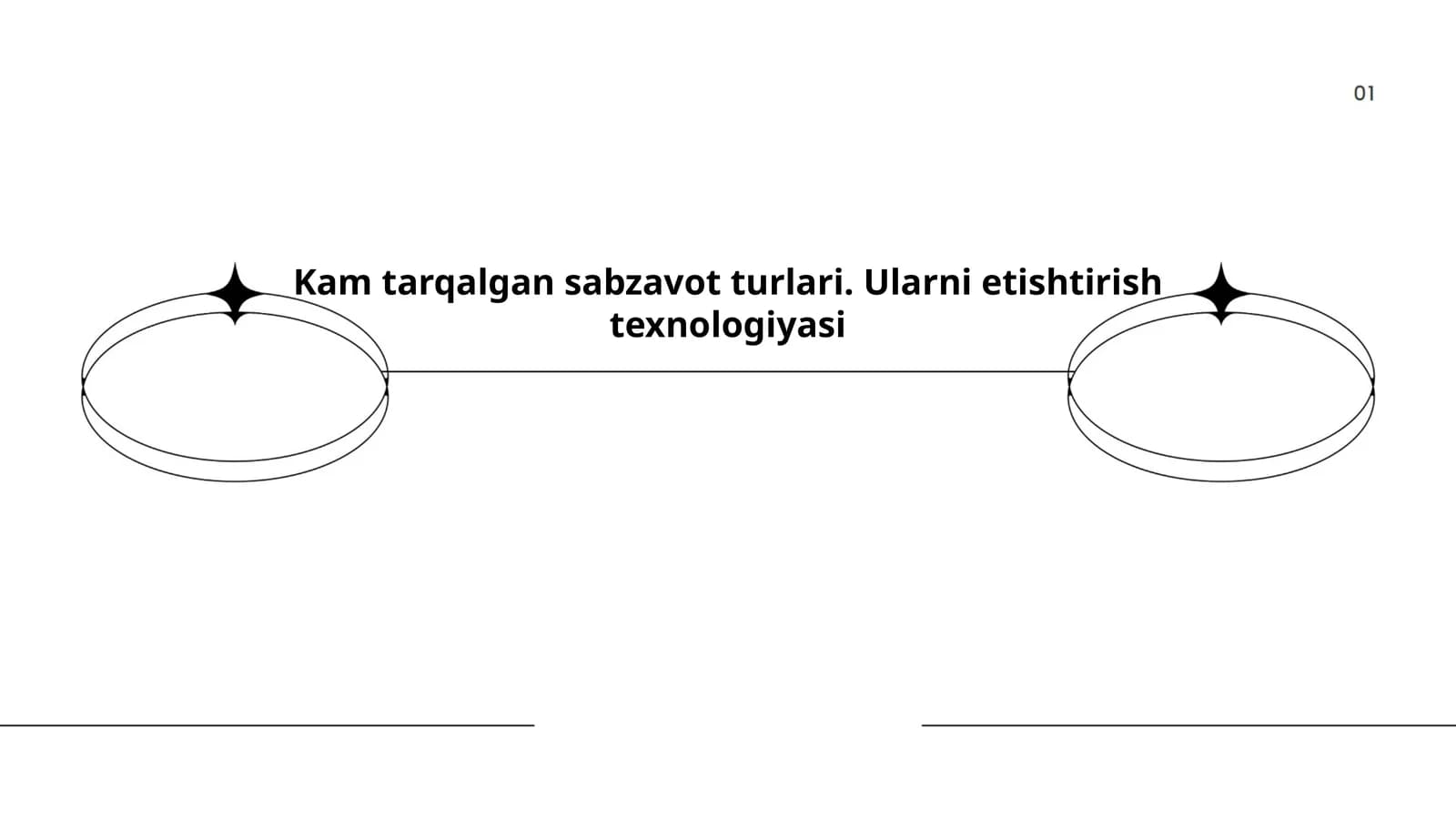 Kam tarqalgan sabzavot turlari. Ularni etishtirish texnologiyasi