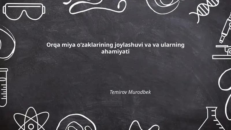 Orqa miya oʻzaklarining anatomik tuzilishi