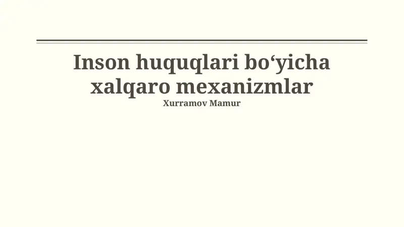 Inson huquqlari boʻyicha xalqaro mexanizmlar