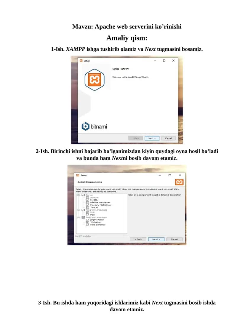 Apache web serverini ko’rinishi