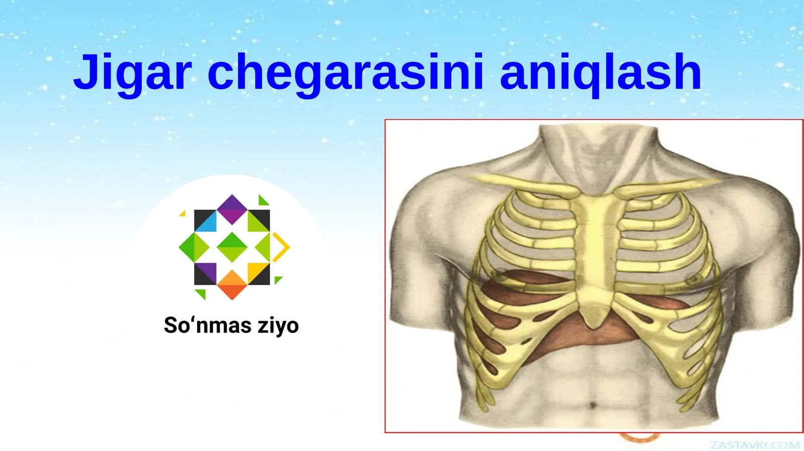 Jigar chegarasini aniqlash