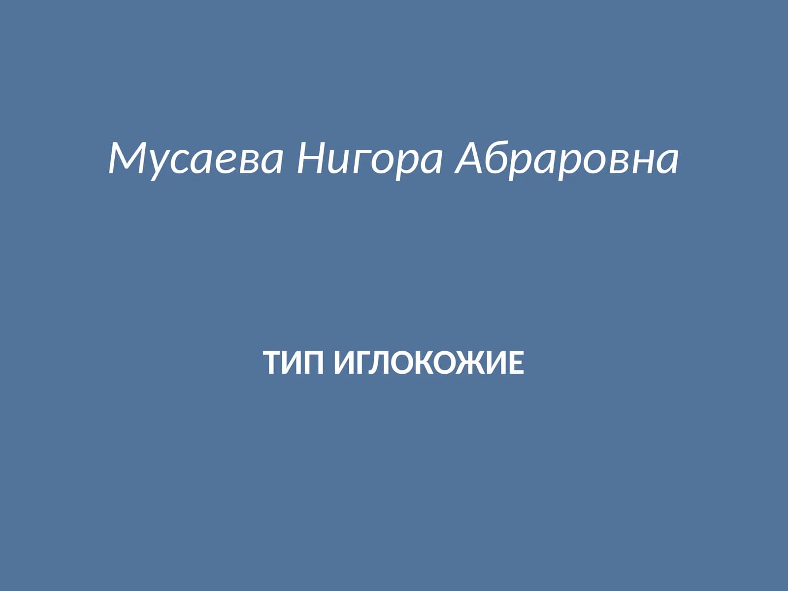 ТИП ИГЛОКОЖИЕ