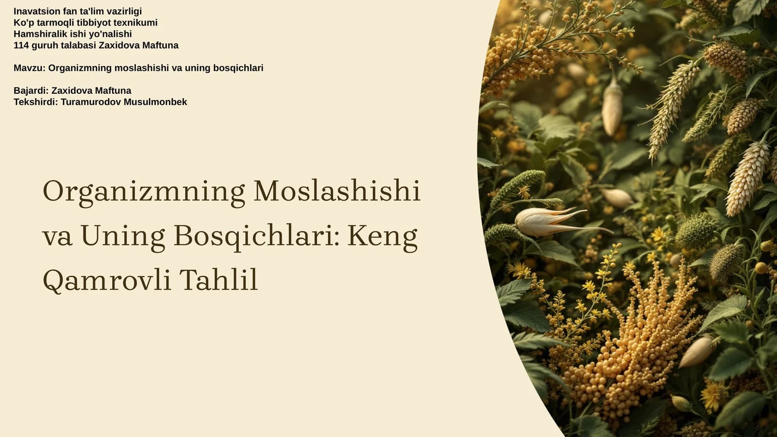 Organizmning Moslashishi va Uning Bosqichlari: Keng Qamrovli Tahlil