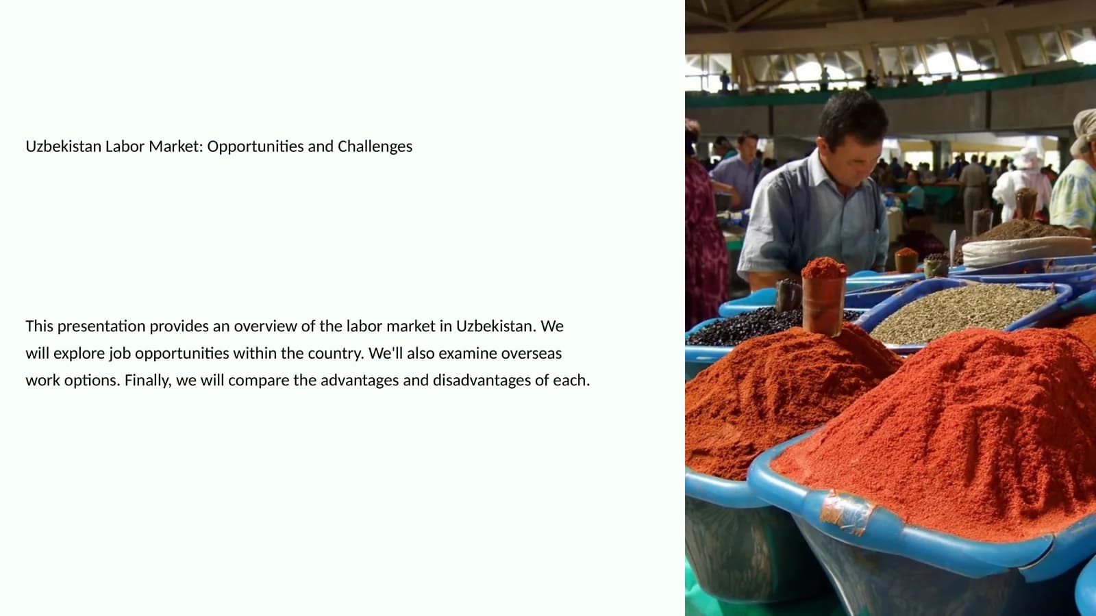Job Opportunities in Uzbekistan