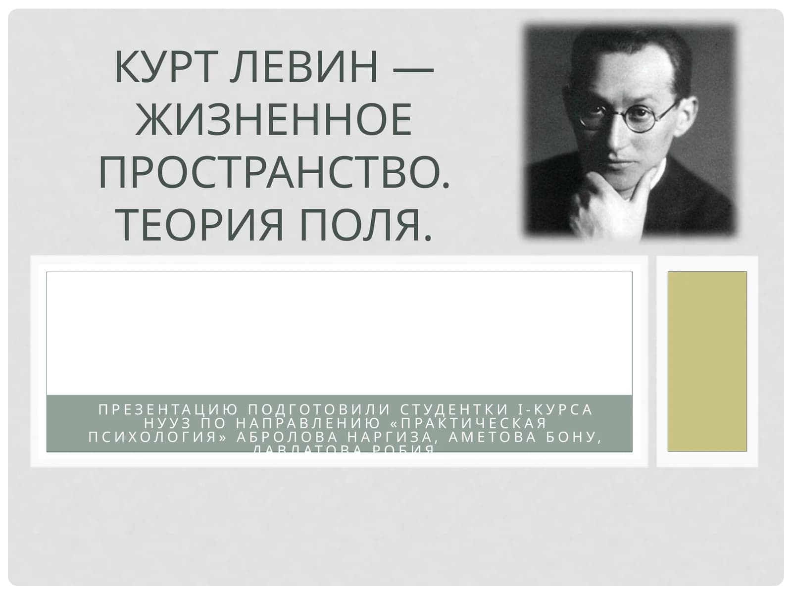 Курт Левин — жизненное пространство.Теория поля