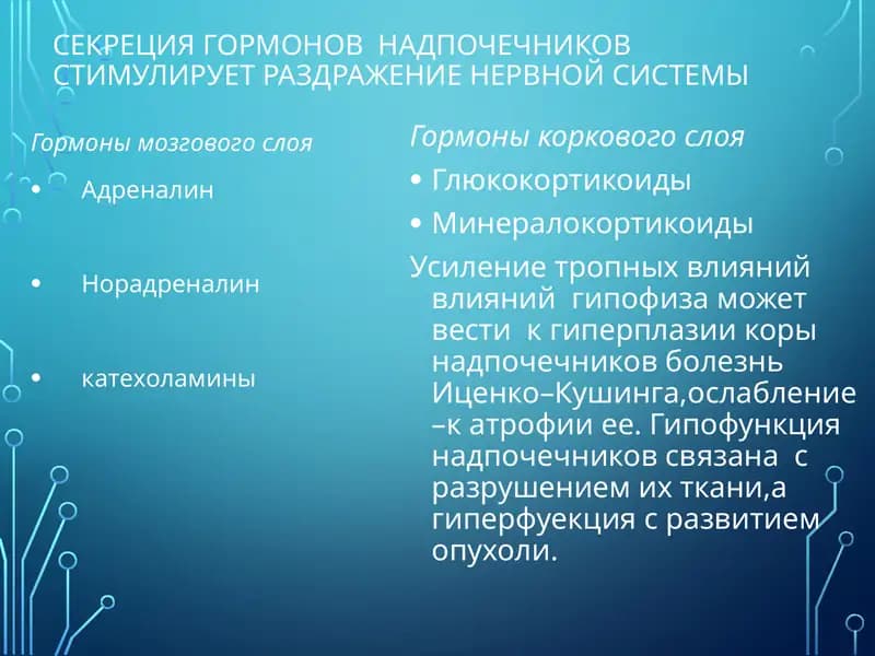 Патологическая анатомия Эндокринопатии