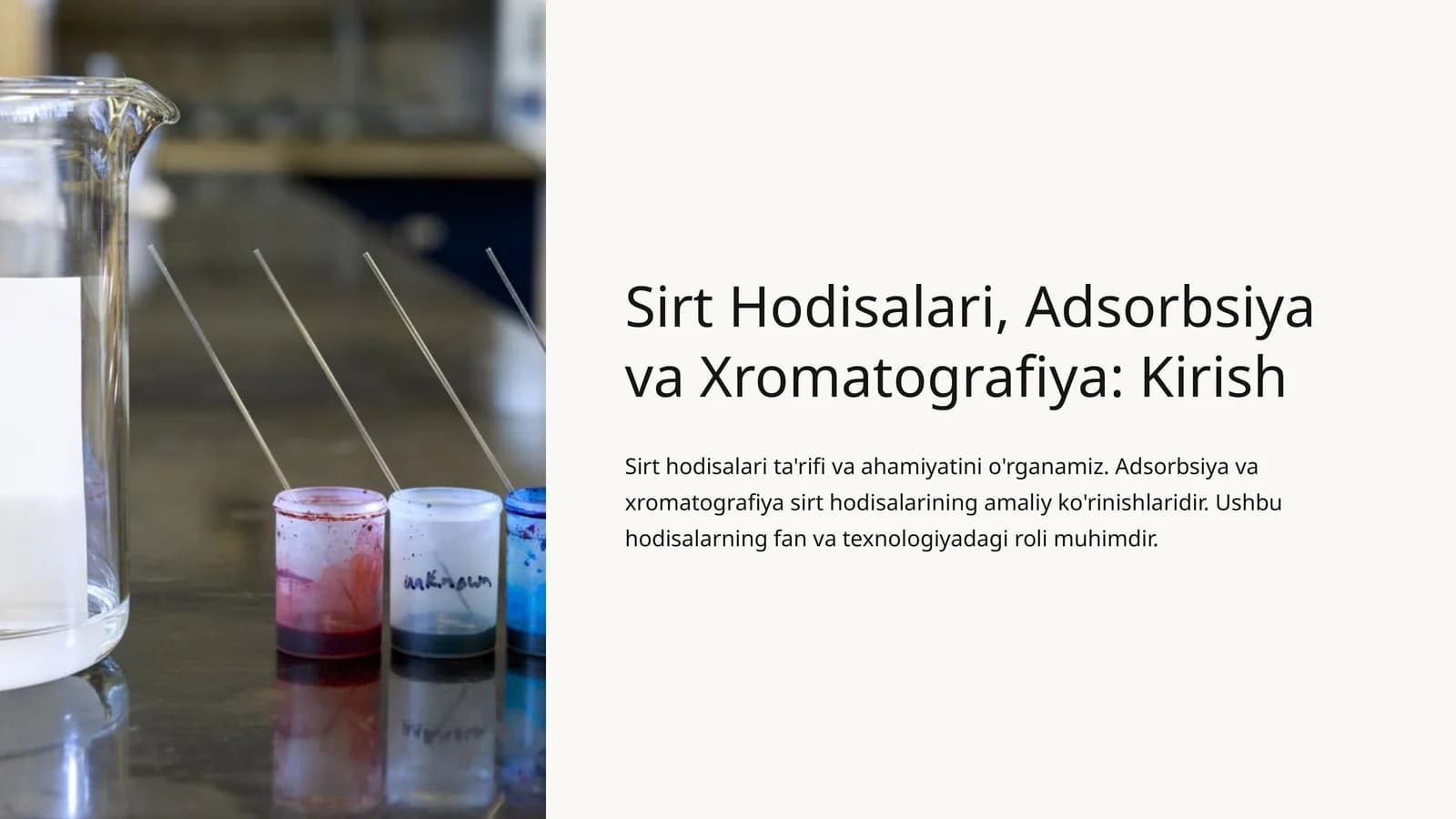 Sirt Hodisalari, Adsorbsiya va Xromatografiya: Kirish