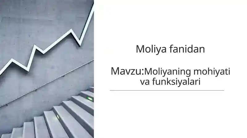 Moliyaning mohiyati va funksiyalari mavzusida mustaqil ish