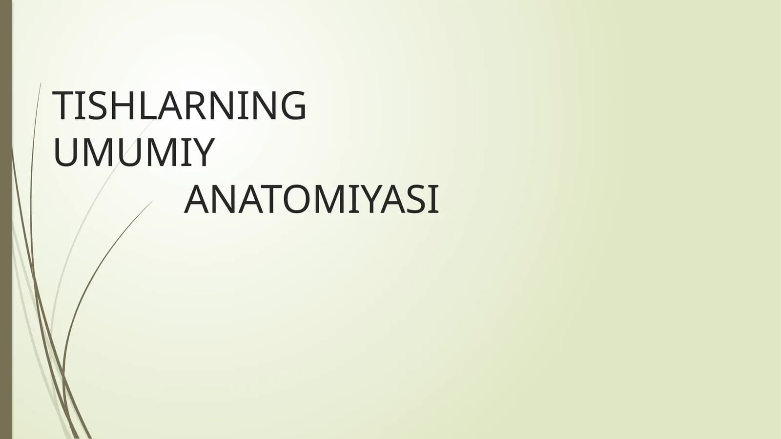 TISHLARNING UMUMIY ANATOMIYASI