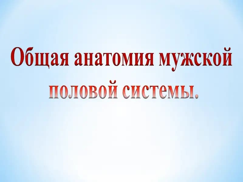 Мужское половое здоровье