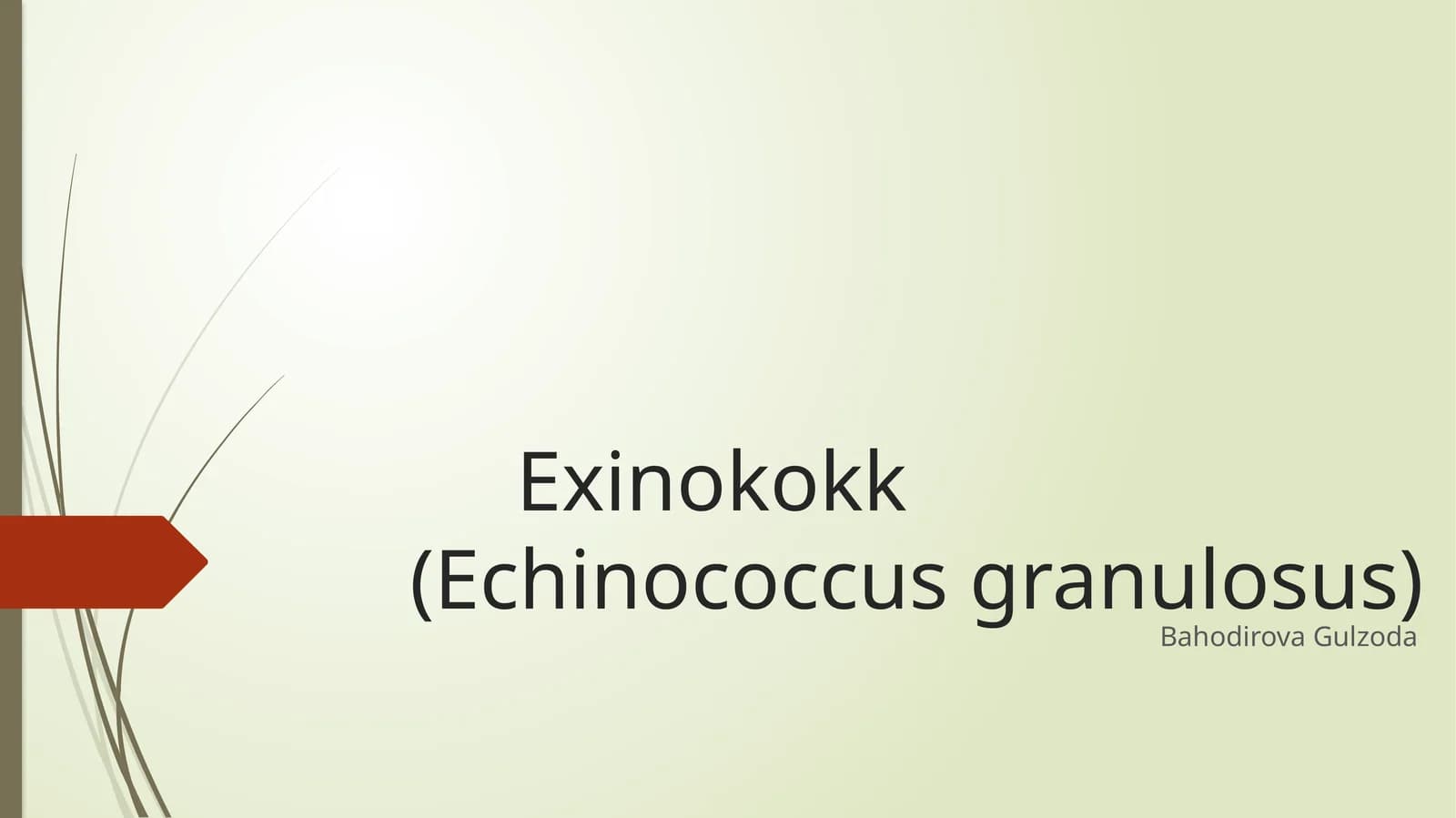 Exinokokk(Echinococcus granulosus)