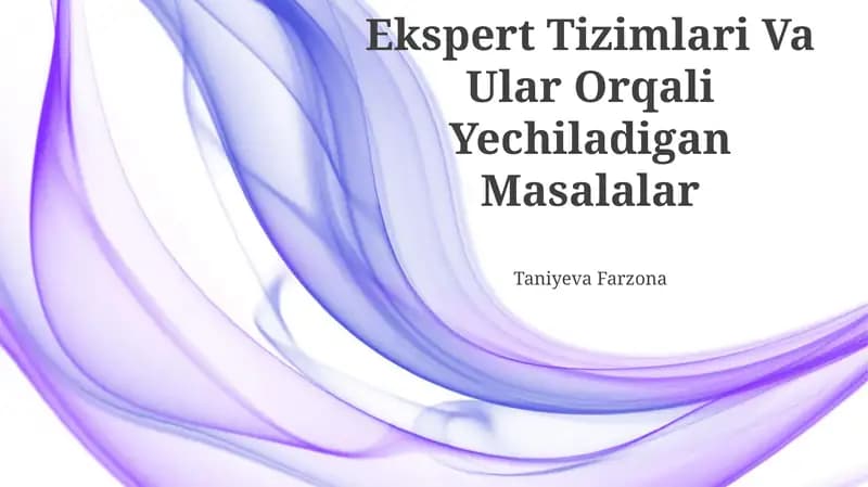 Ekspert Tizimlari Va Ular Orqali Yechiladigan Masalalar