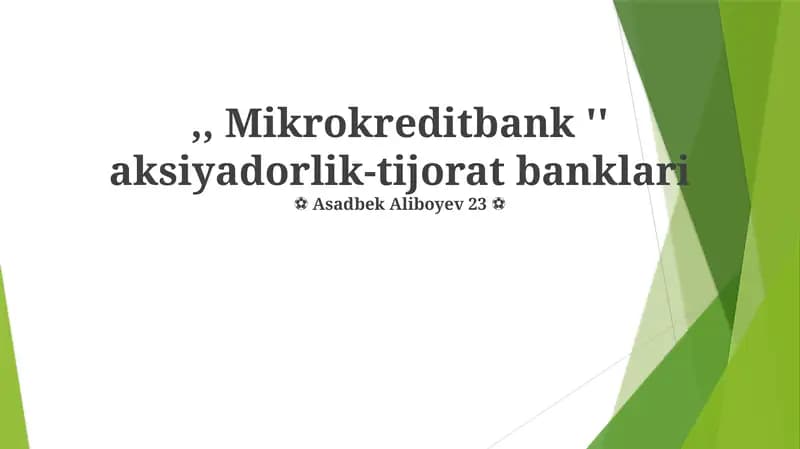 Mikrokredit Bank Model: Tuzilishi va Faoliyati