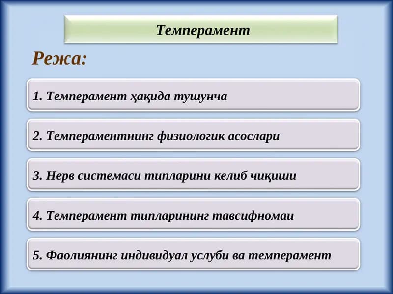 Темперамент