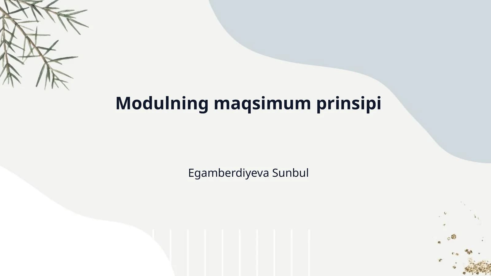 Modulning maqsimum prinsipi