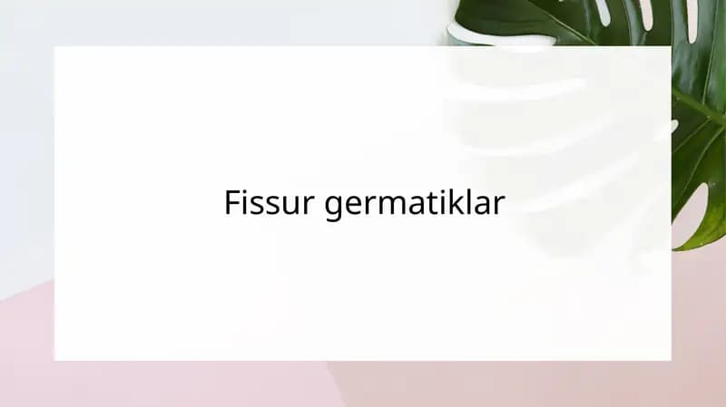 Fissur germatiklar