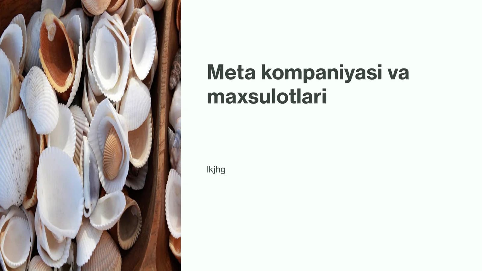 Meta kompaniyasi va maxsulotlari