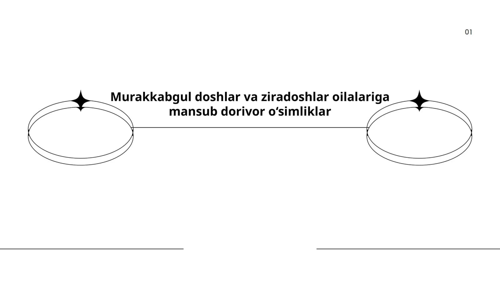 Murakkabgul doshlar va ziradoshlar oilalariga mansub dorivor o‘simliklar