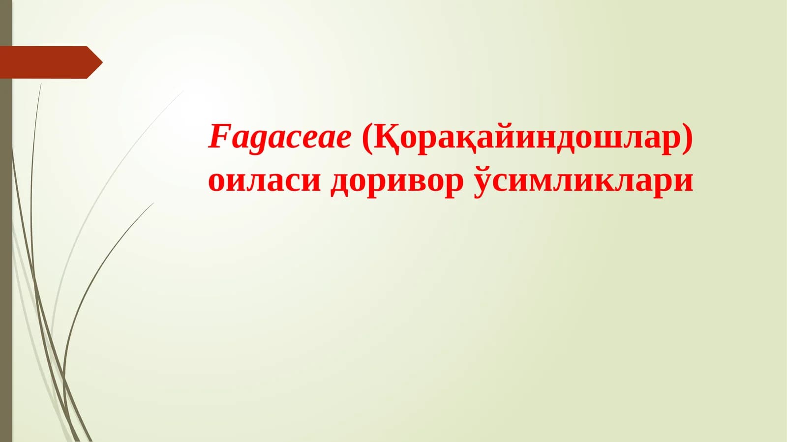 Fagaceae(Қорақайиндошлар) оиласи доривор ўсимликлари