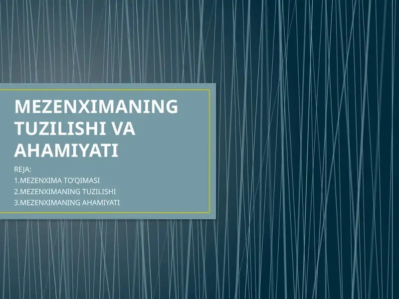 Mezenximaning Tuzilishi va Ahmiyat