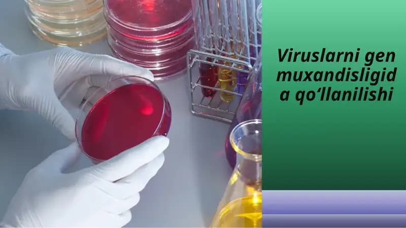 Viruslarni gen muxandisligida qo‘llanilishi
