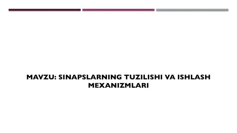 Sinapslarning tuzilishi va ishlash mexanizmlari