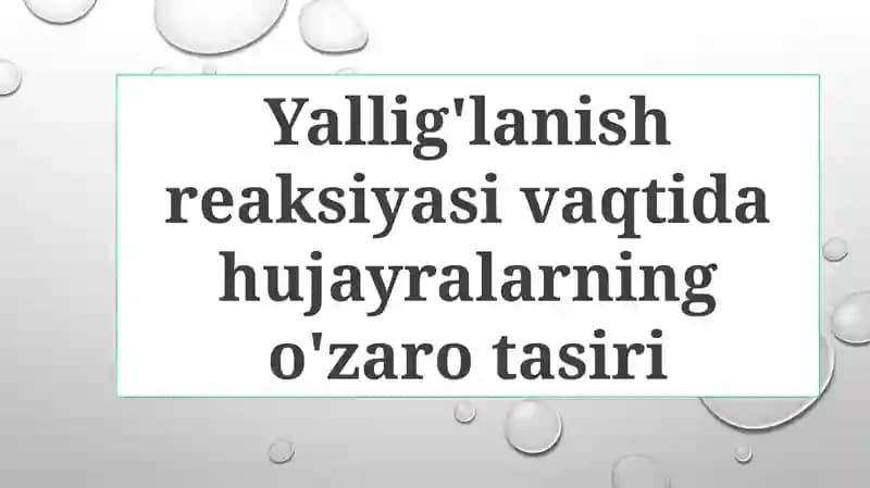 Yallig'lanish reaksiyasi vaqtida hujayralarning o'zaro tasiri
