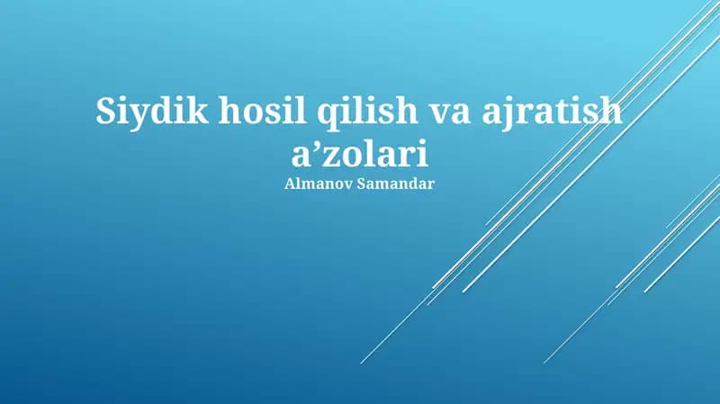 Buyraklar va Siydik Yo'llarining Tuzilishi va Funksiyasi