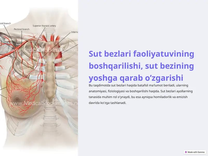 Sut bezlari faoliyatuvining boshqarilishi, sut bezining yoshga qarab o’zgarishi