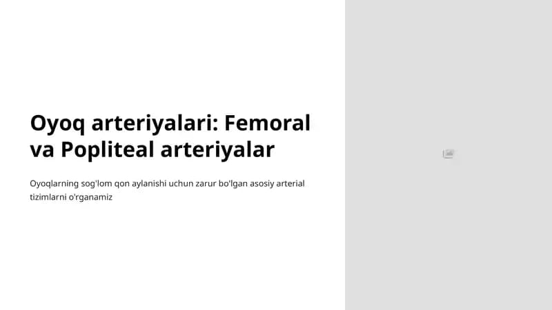 Oyoq arteriyalari: Femoral va Popliteal arteriyalar