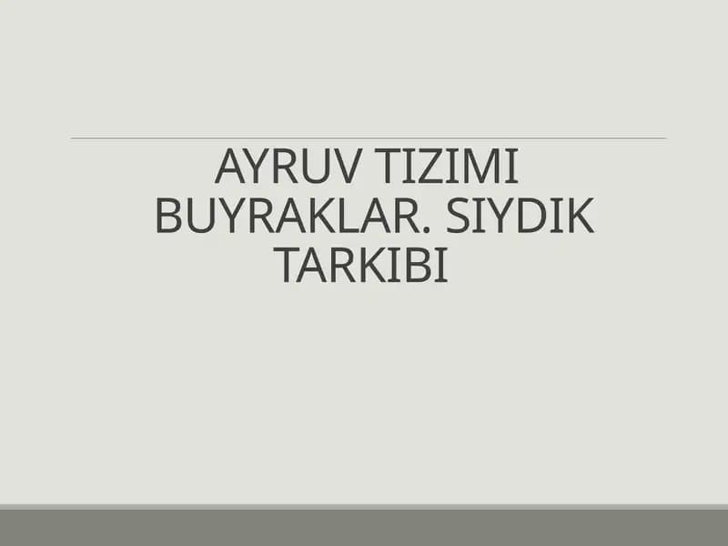 AYRUV TIZIMI BUYRAKLAR. SIYDIK TARKIBI