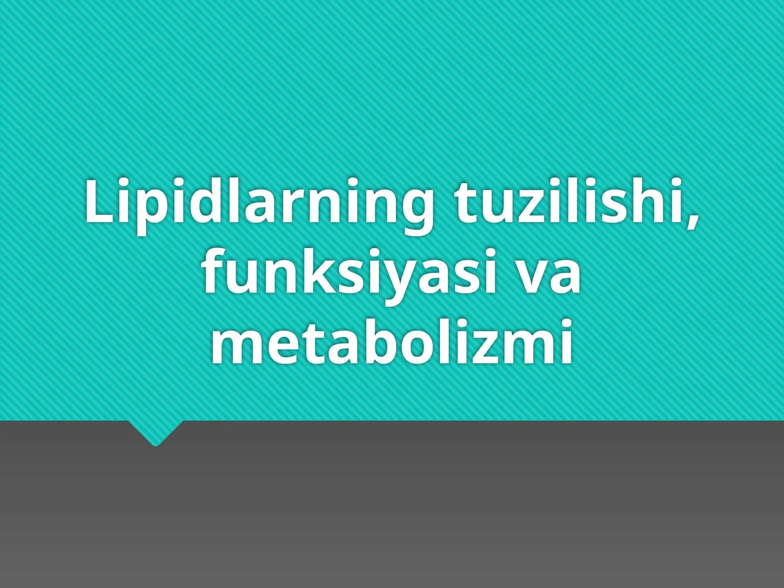 Lipidlarning tuzilishi, funksiyasi va metabolizmi