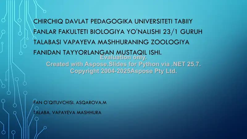 Chayonlar tuzilishi va hayot kechirishi