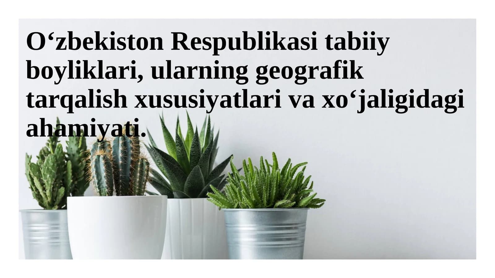O'zbekiston tabiiy boyliklari