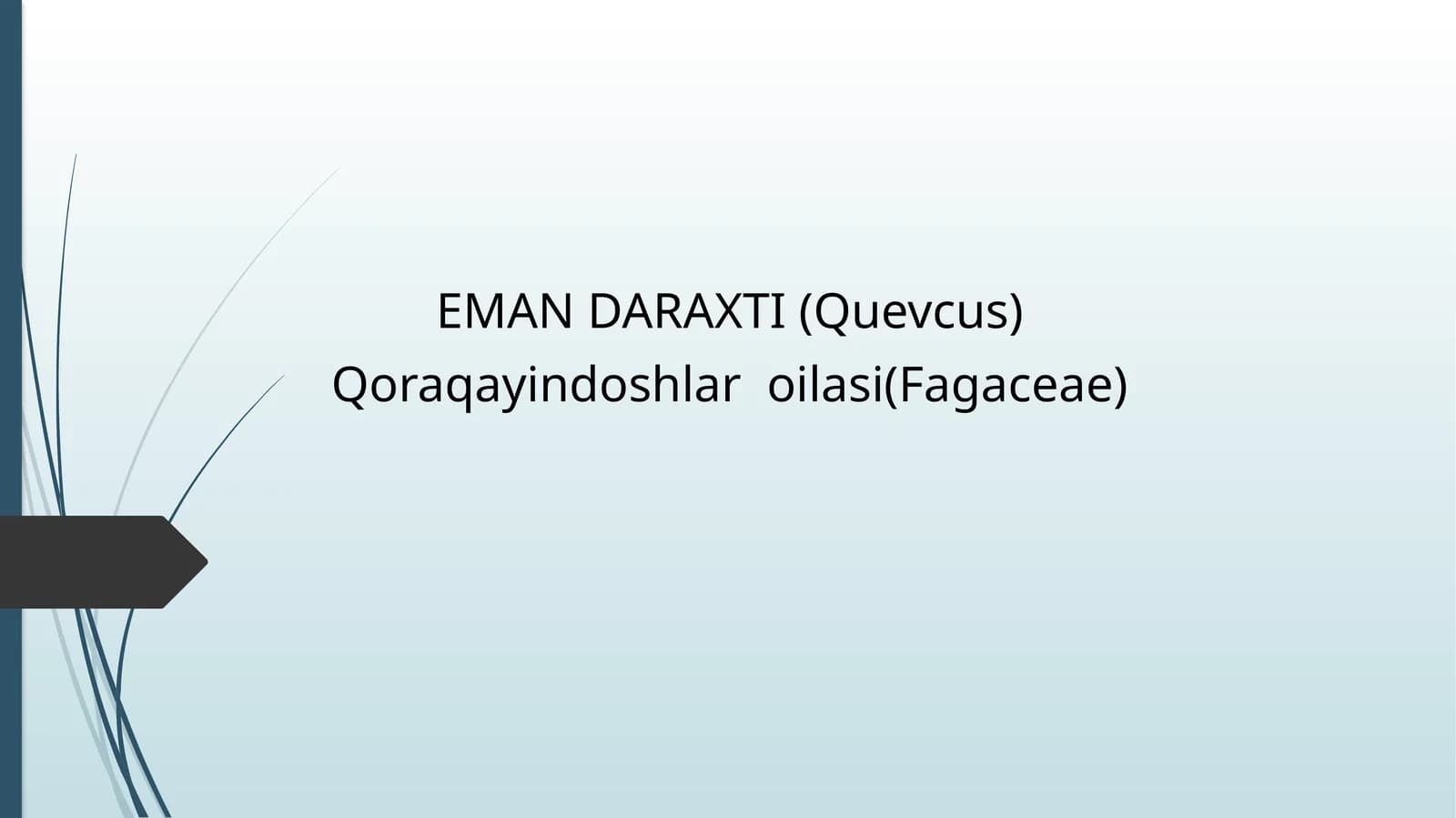 EMAN DARAXTI(Quevcus)