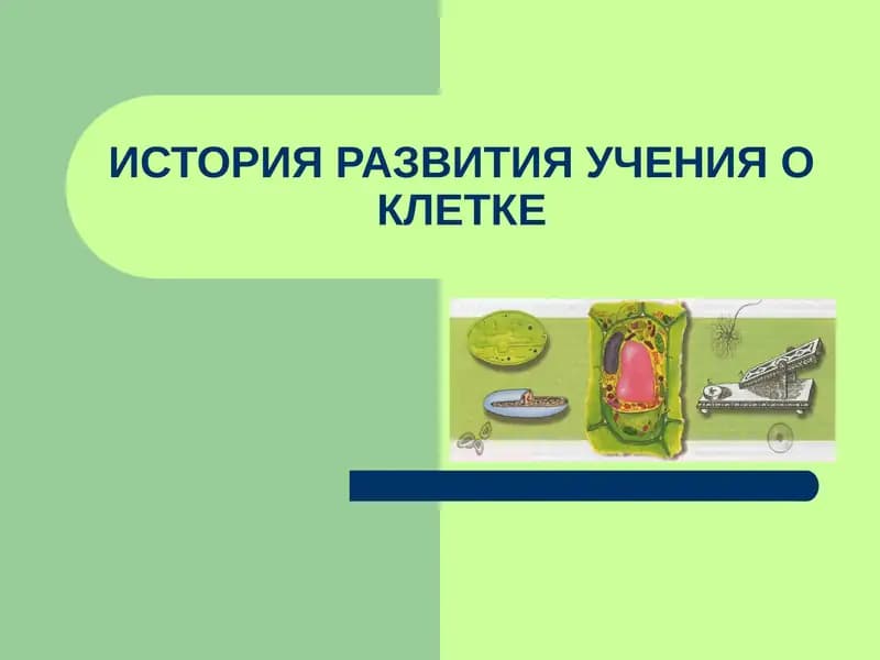 ИСТОРИЯ РАЗВИТИЯ УЧЕНИЯ О КЛЕТКЕ