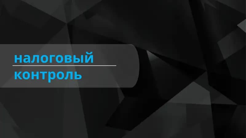 Налоговый контроль