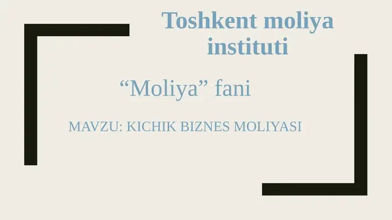 KICHIK BIZNES MOLIYASI