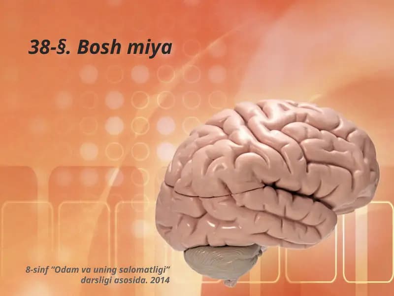 Boshmiya