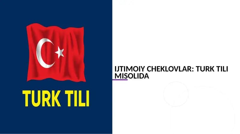 Turk tili xalqaro jahon tillaridan biriga aylana oladimi? tahlil