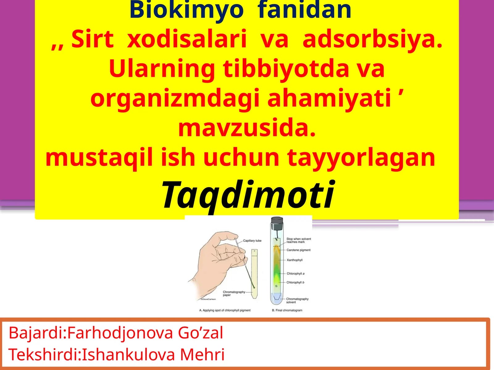 Biokimyo fanidan Sirtxodisalar va adsorbsiya, 25-2 guruh