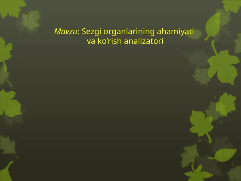 Sezgiorganlariningahamiyativako’rishanalizatori