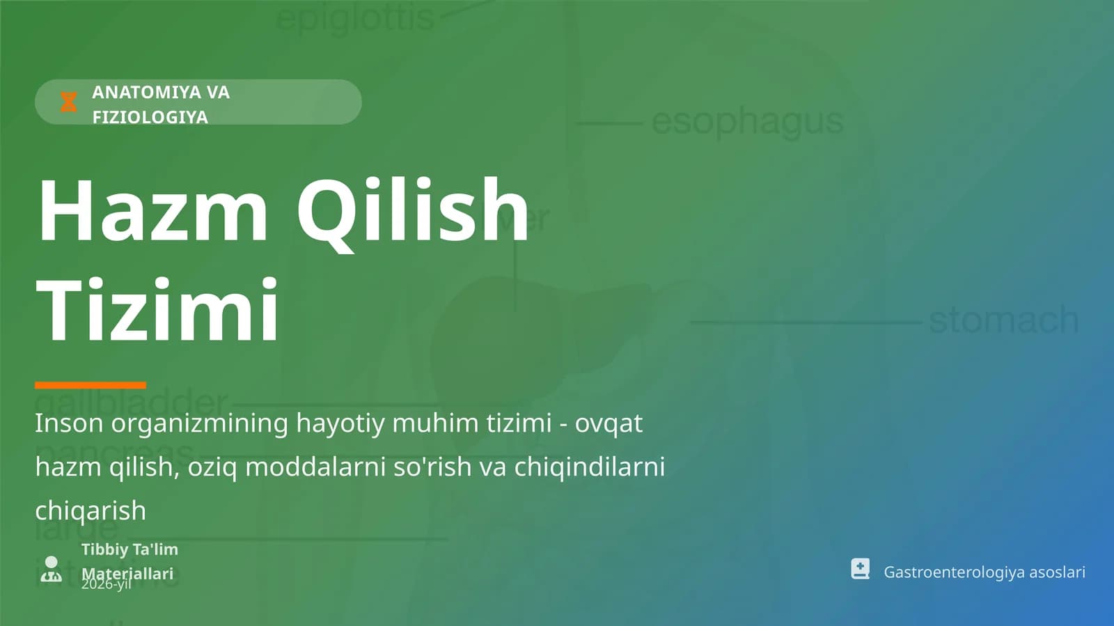 ANATOMIYA VA FIZIOLOGIYA Hazm Qilish Tizimi